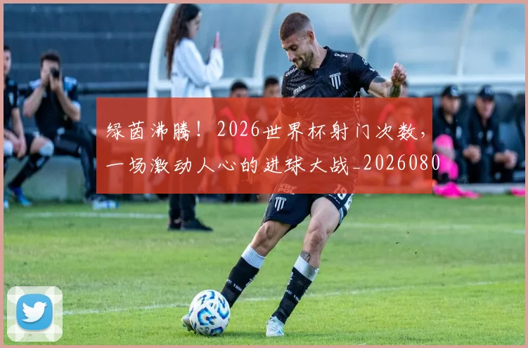 绿茵沸腾！2026世界杯射门次数，一场激动人心的进球大战_20260803143418