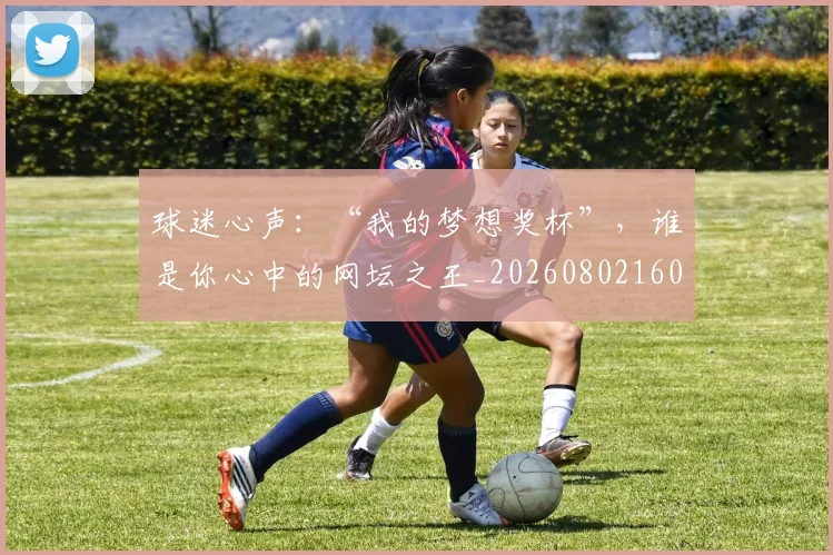 球迷心声：“我的梦想奖杯”，谁是你心中的网坛之王_20260802160940