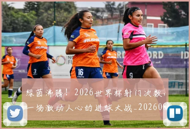 绿茵沸腾!2026世界杯射门次数,一场激动人心的进球大战_20260803143418