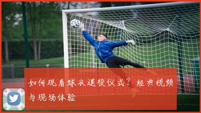 如何观看球衣退役仪式？经典视频与现场体验